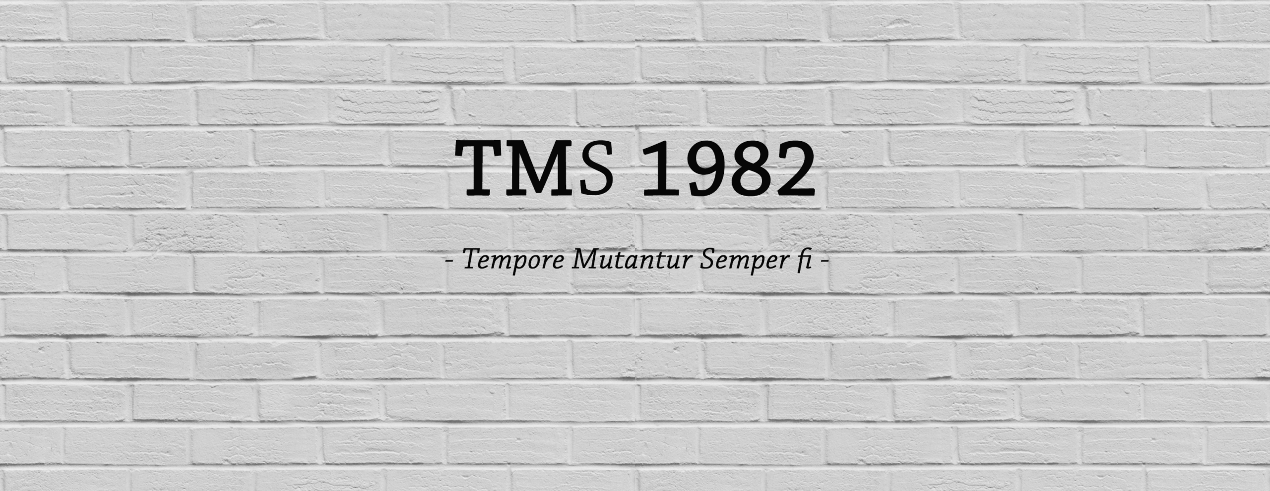 TMS 1982 GbR